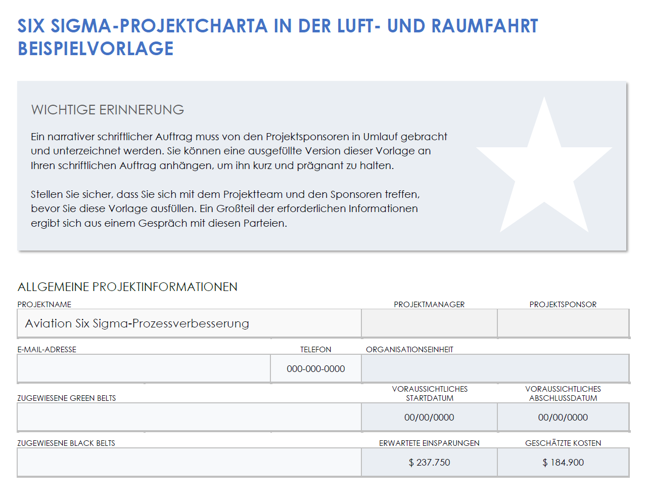 Beispielvorlage für einen Aviation-Six-Sigma-Project-Charter