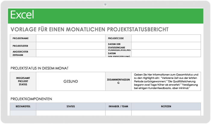 Monthly Project Status Report 49521 - DE